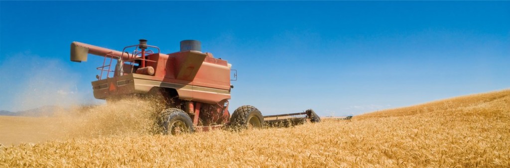 Grain being harvested | Grain Brokers