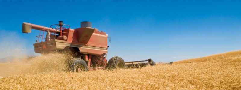 Grain being harvested | Grain Brokers