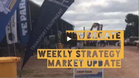 Weekly Strategy Market Update