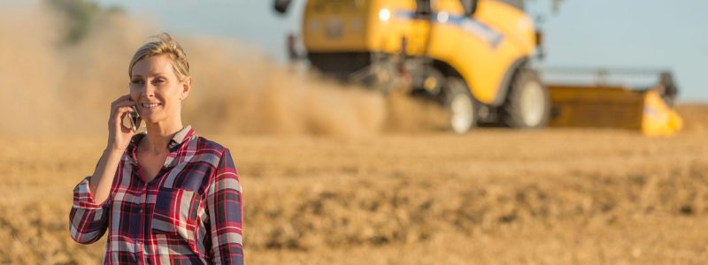 Woman in grain field on a call | Grain Brokers