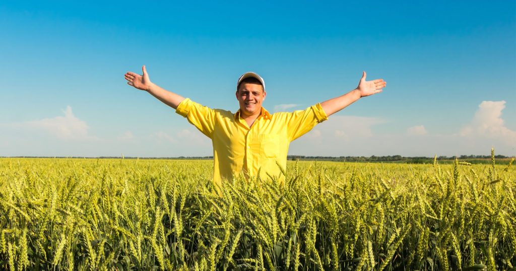 Man standing in Wheatfield arms open | Grain Brokers Australia