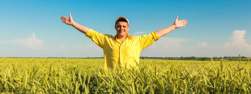 Man standing in Wheatfield arms open | Grain Brokers Australia