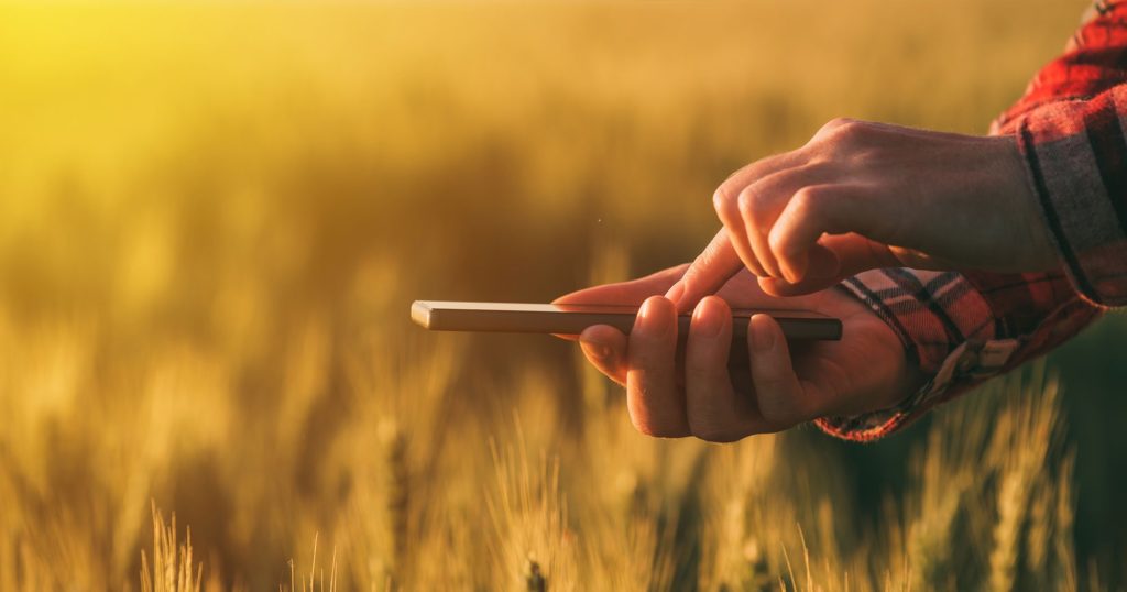 Image of hand using phone in grain field | Grain Brokers