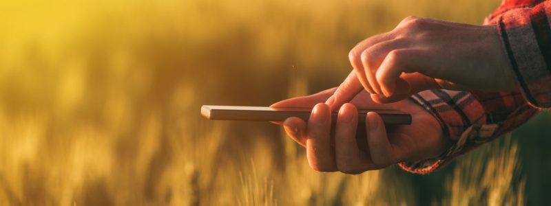 Image of hand using phone in grain field | Grain Brokers