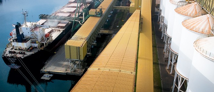 Grain being loaded onto ship | Grain Brokers