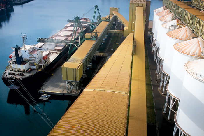 Grain being loaded onto ship | Grain Brokers